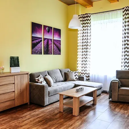 Apartamenty Mountain View - Bezplatny Parking Krynica Zdroj Exterior photo