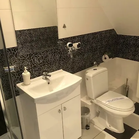 Apartamenty Mountain View - Bezplatny Parking Krynica Zdroj Exterior photo