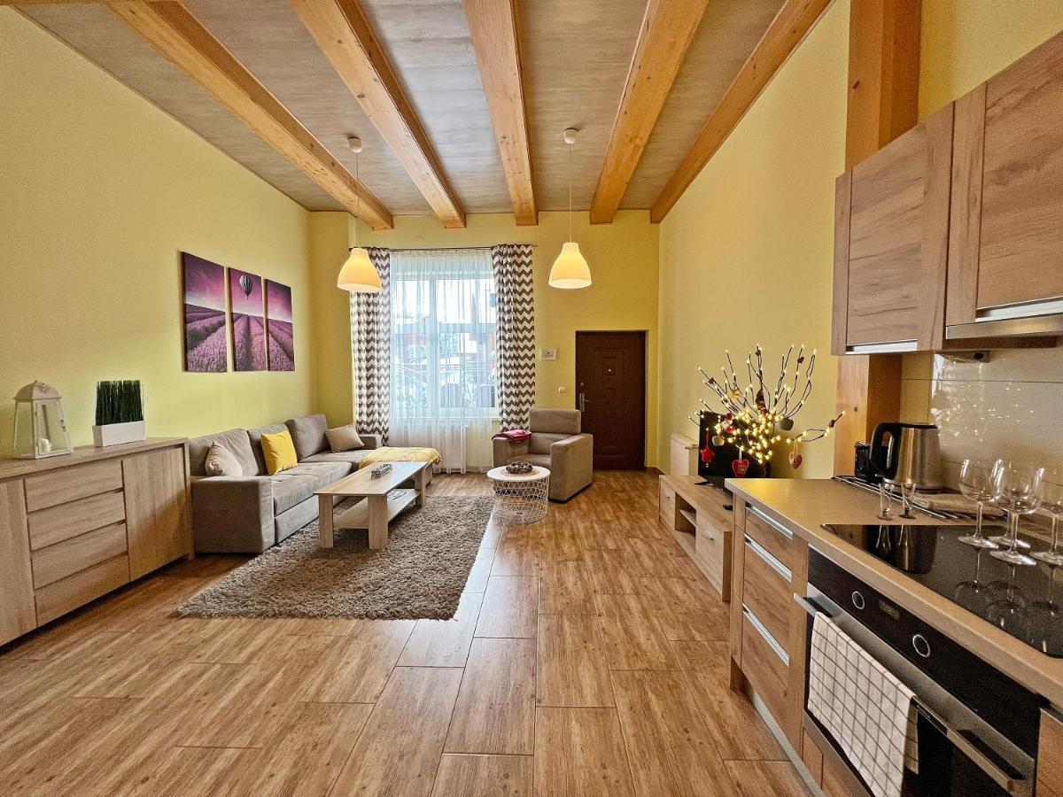 Apartment Mountain View - Bezplatny Parking *