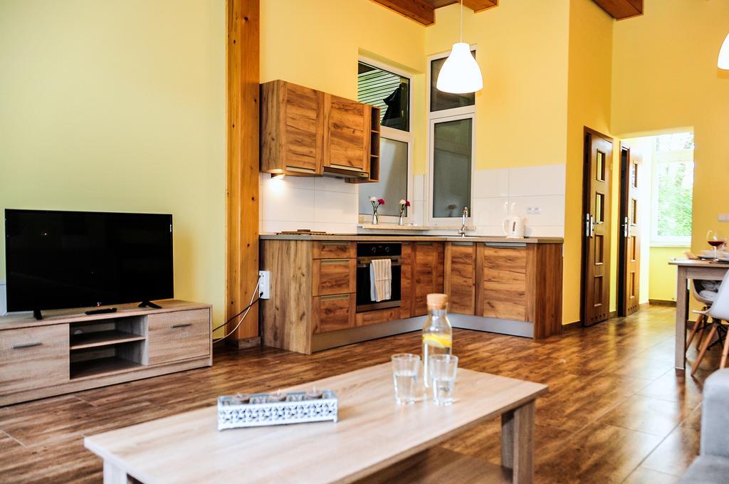 Mountain View - Bezplatny Parking Apartment Krynica-Zdrój